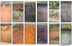 12 Soil Orders in Soil Taxonomy with Their Major Characteristics ...