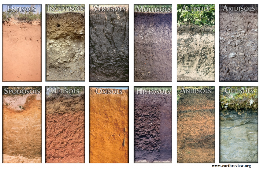 12 Soil Orders In Soil Taxonomy With Their Major Characteristics ...